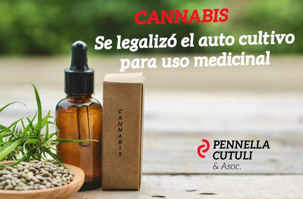 Se reglamentó la ley nº 27.350 y se legaliza el autocultivo de cannabis