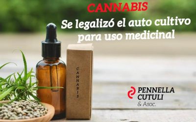 Se reglamentó la ley nº 27.350 y se legaliza el autocultivo de cannabis