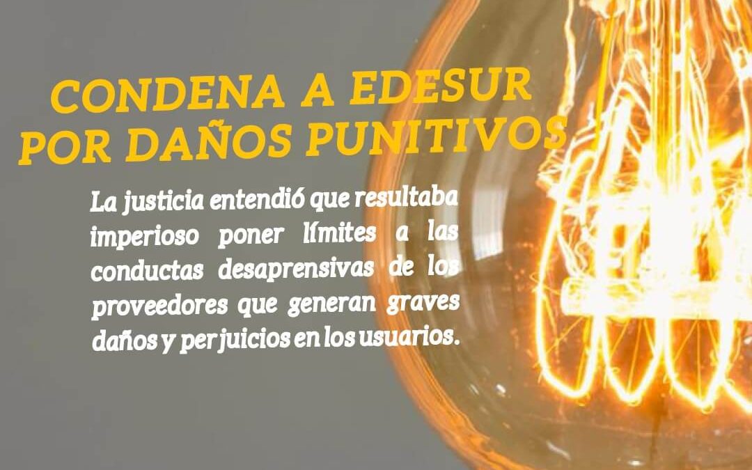 Condena a Edesur por daños punitivos